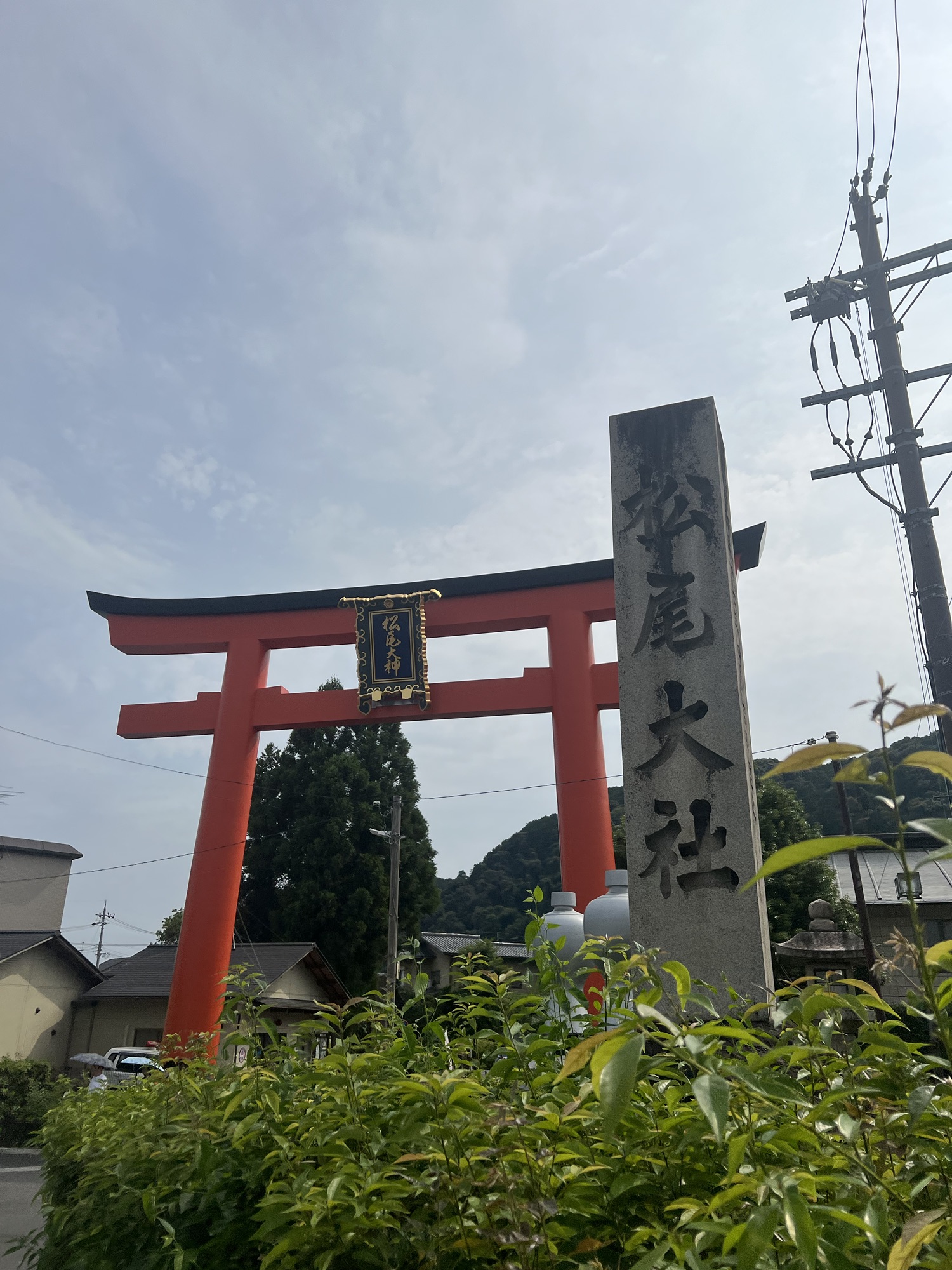 お酒の神様🍶松尾大社