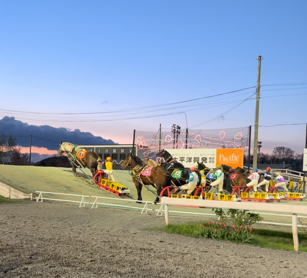 🐴世界でここだけ。帯広ばんえい競馬で出会う感動のレース🐴